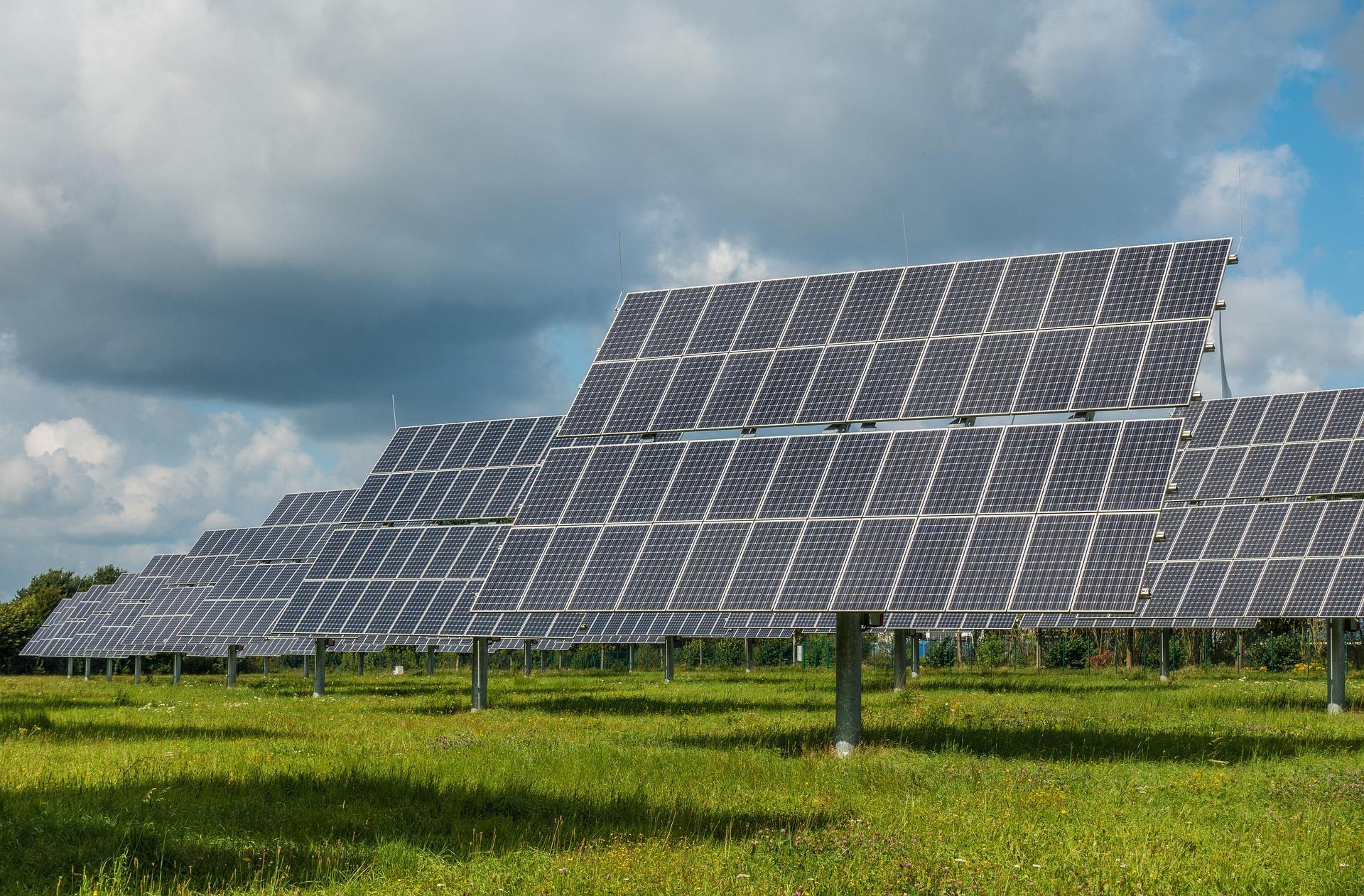 How Trump’s Green Subsidy Policy Shift Impacts Waaree Energies: A Closer Look,Here Is What Management Says
