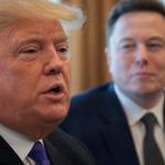 "President Trump Urges Elon Musk to Go Bigger: ‘We Have a Country to Save!’"