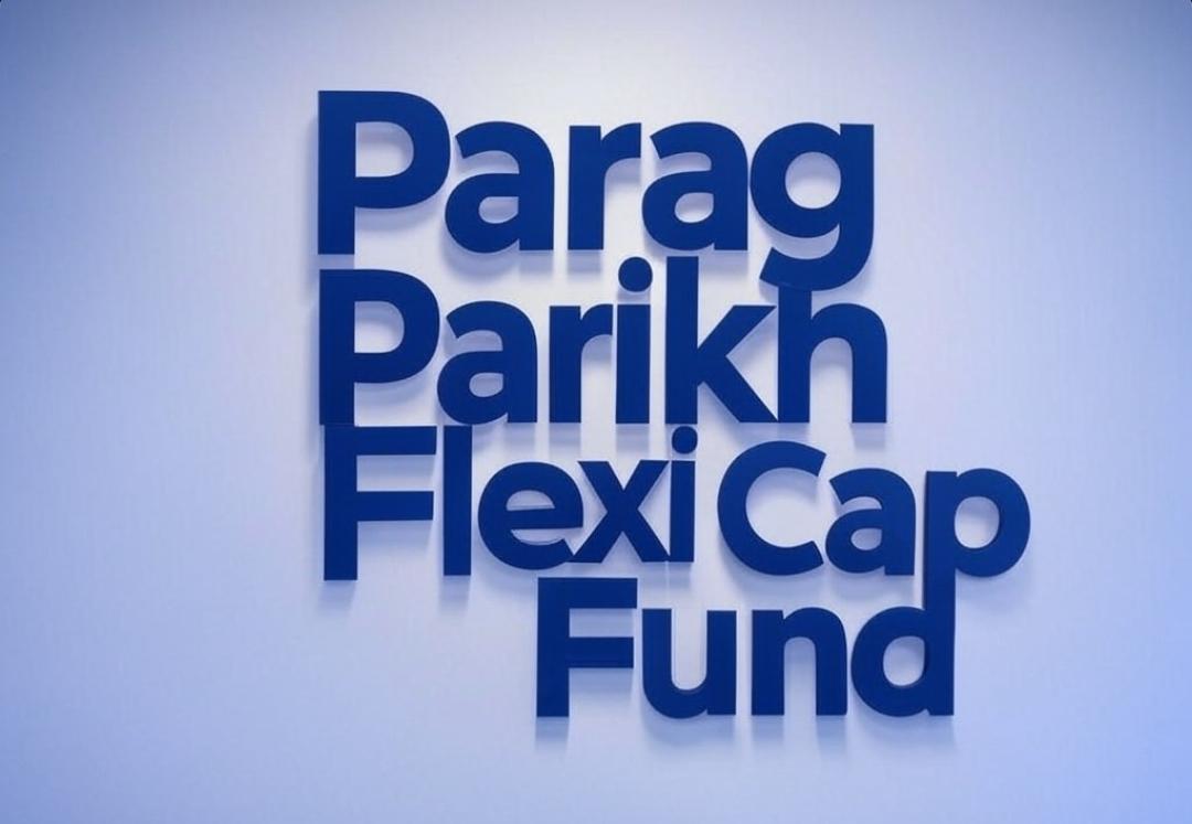 Parag Parikh Flexi Cap Fund's February 2025 Portfolio Update