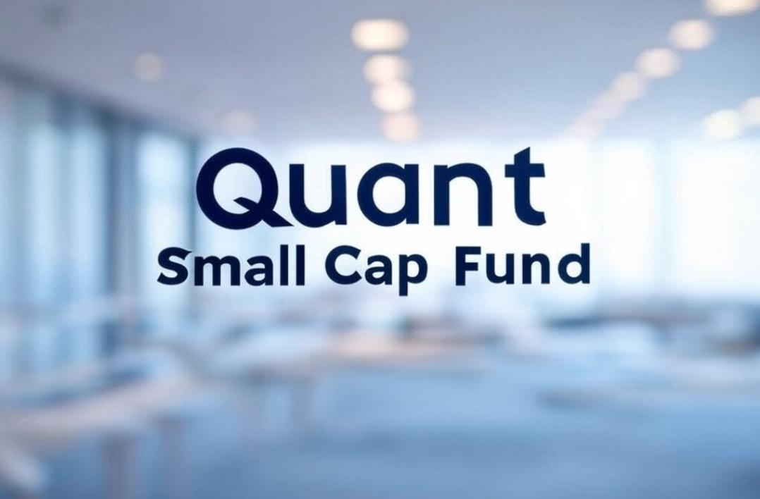 Quant Small Cap Fund February 2025 Portfolio Update;Major Portfolio Shifts & ₹2,351 Cr AUM Drop!