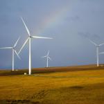 Suzlon Energy: Strong Long-Term Story Despite Short-Term Volatility – What Should Investors Do?
